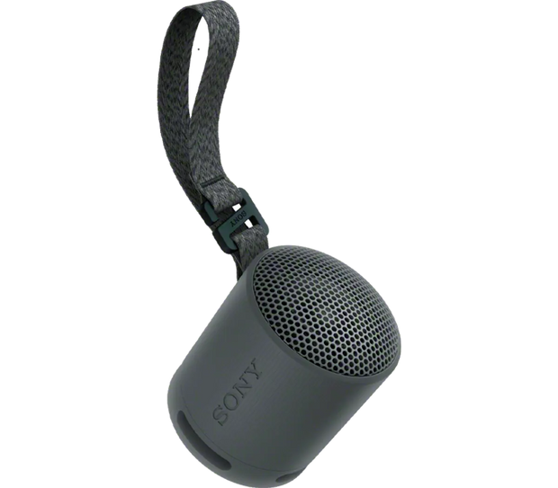 SONY SRS-XB100