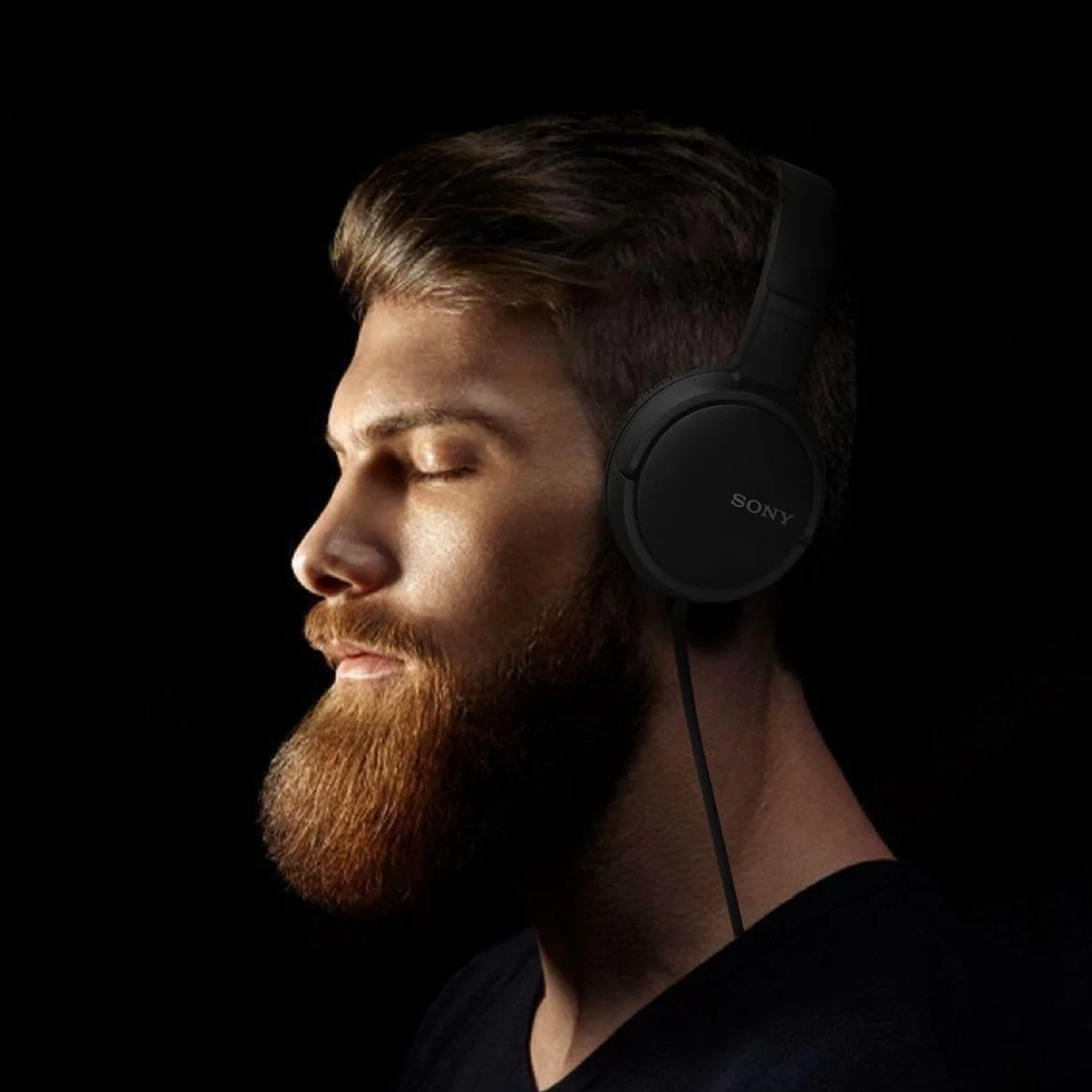 SONY MDR-ZX110AP