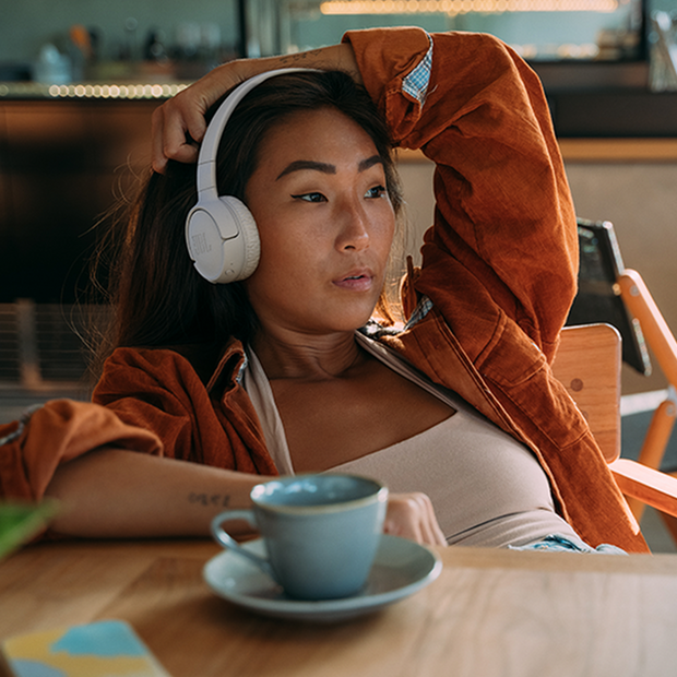 JBL T520BT